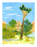 (Ariel Lee) Joshua Tree print (framed)