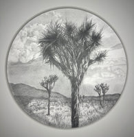 (Catherine Ruane) Desert Family 1, 2025