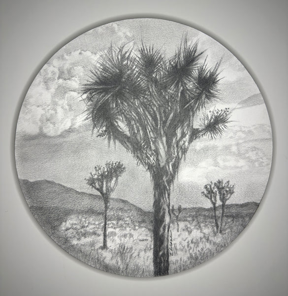 (Catherine Ruane) Desert Family 1, 2025
