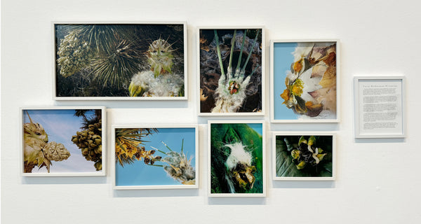 (Claudia Bucher)