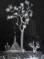 (Diane Best) Joshua Tree Noir 4