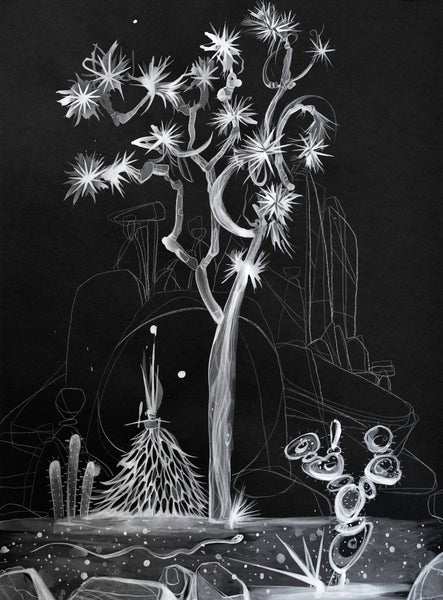 (Diane Best) Joshua Tree Noir 4