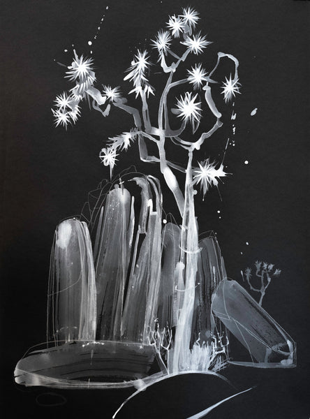 (Diane Best) Joshua Tree Noir 5