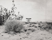 (Ed Ruscha) Desert Gravure, 2006