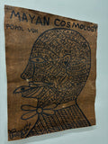 (Bruce Lee) Mayan Cosmology