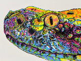 (Walker Mettling) Snake