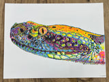 (Walker Mettling) Snake