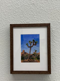 (Landy Li) Joshua Tree 2