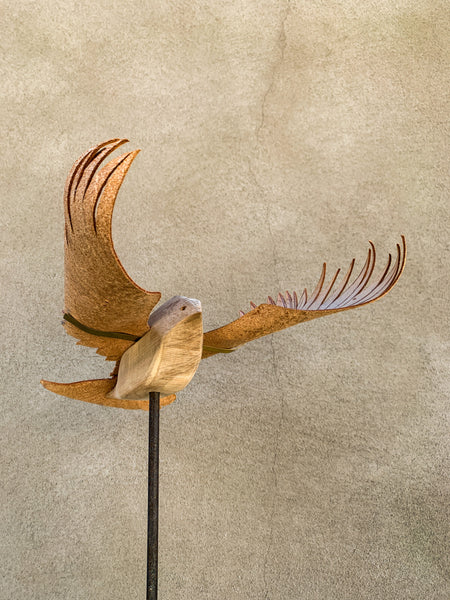 (Frieda Gossett) Bird In Flight 1