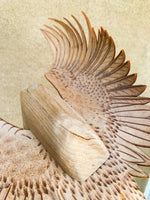 (Frieda Gossett) Bird In Flight 1