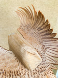 (Frieda Gossett) Bird In Flight 1