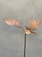 (Frieda Gossett) Bird In Flight 1