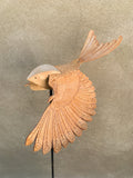 (Frieda Gossett) Bird In Flight 4