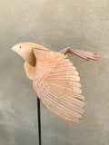 (Frieda Gossett) Bird In Flight 3