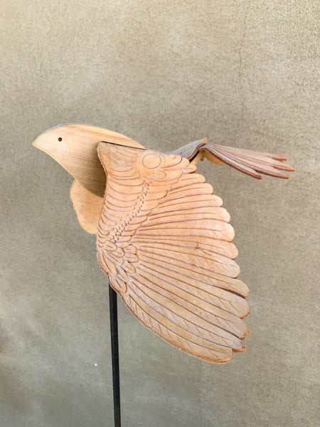 (Frieda Gossett) Bird In Flight 3