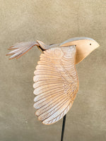 (Frieda Gossett) Bird In Flight 3