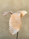 (Frieda Gossett) Bird In Flight 3