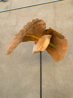 (Frieda Gossett) Bird In Flight 2