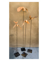 (Frieda Gossett) Bird In Flight 2