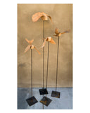 (Frieda Gossett) Bird In Flight 2