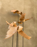 (Frieda Gossett) Bird In Flight 4