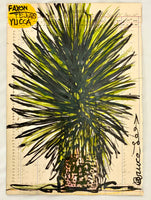 (Bruce Lee) Yucca