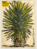 (Bruce Lee) Yucca