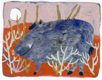 (Melissa Lakey) Javelina Dreams