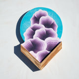 (Michael Wayne Hall)  Forage 1