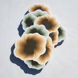 (Michael Wayne Hall)  I Want Wind