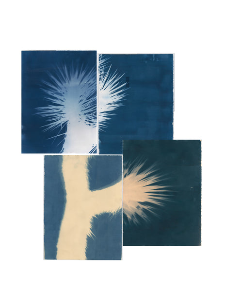 (Meg Madison) The Ground They Stand On, II, var. 3