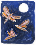 (Melissa Lakey) Hummingbird Moths Dancing in Moonlight