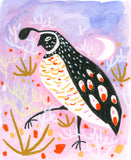 (Melissa Lakey) Little Quail Dreams