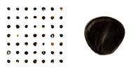 (Rebecca Lowry) Joshua Tree Creative Laboratory 50 Seeds