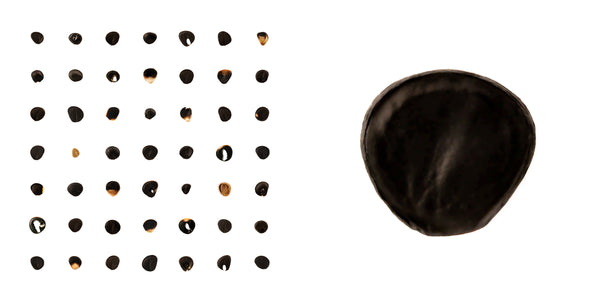 (Rebecca Lowry) Joshua Tree Creative Laboratory 50 Seeds