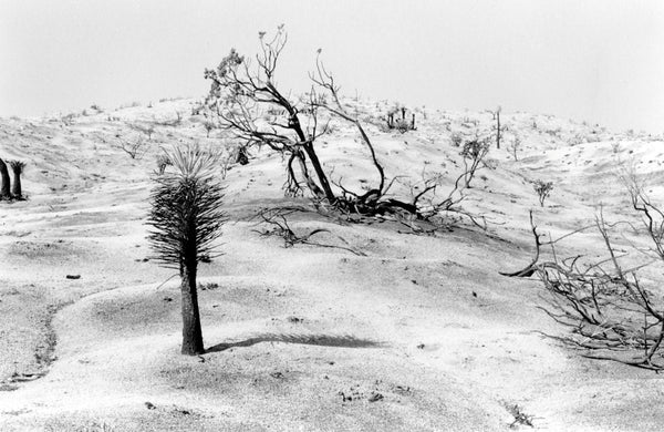 (Sant Khalsa) Intimate Landscapes 1
