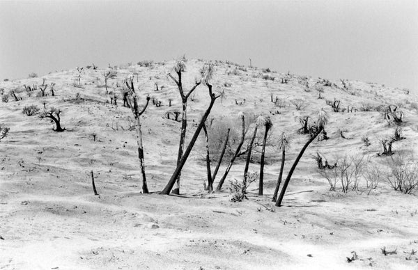 (Sant Khalsa) Intimate Landscapes 2