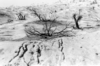 (Sant Khalsa) Intimate Landscapes 3