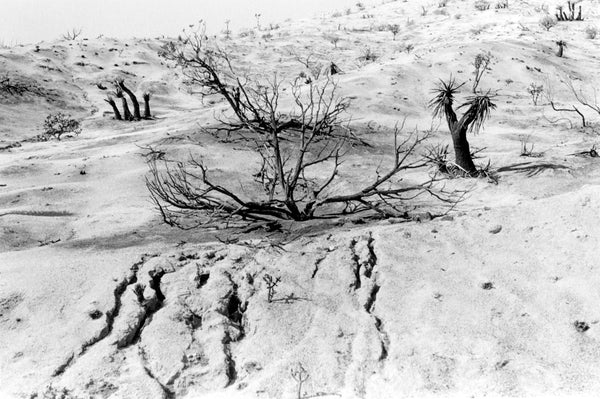 (Sant Khalsa) Intimate Landscapes 3