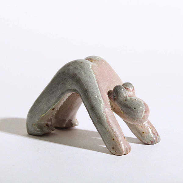 (Johnathan Huang) Down Frog