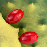 (John Flores) Nopales x Tunas 2