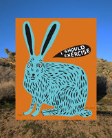 (Martha Rich) I Should exercise Rabbit print (framed)