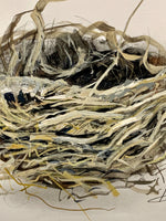 (Abira Ali) Mud Nest