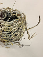 (Abira Ali) Mud Nest