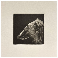 (Matthew Aceves) Borzoi